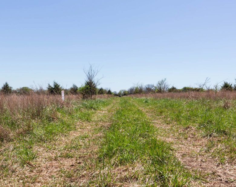 Prairie Grove Tract 25 in Okfuskee County, OK