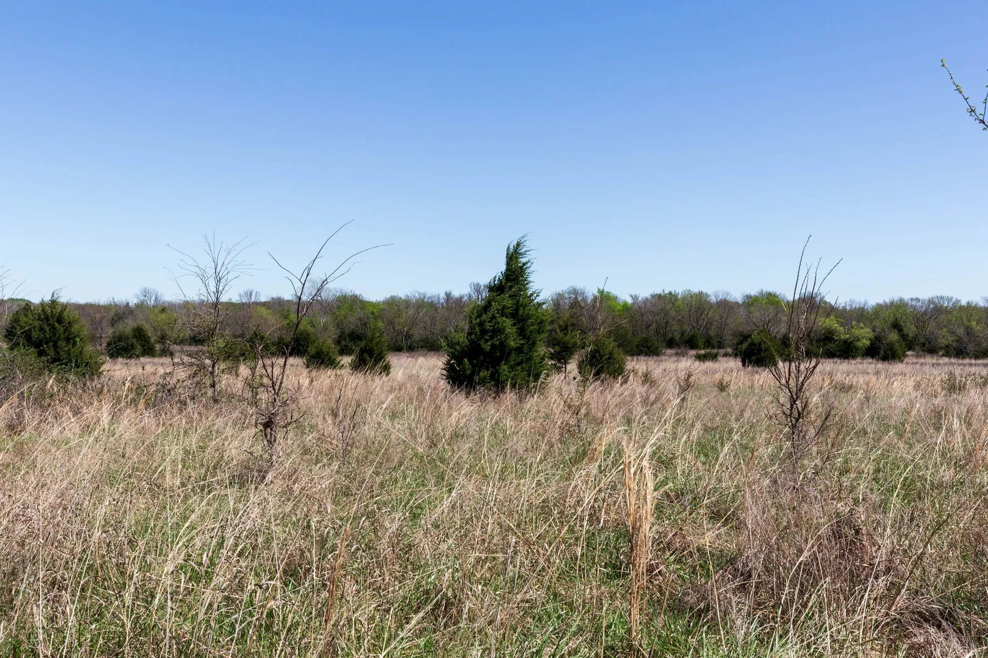 Prairie Grove Tract 25 in Okfuskee County, OK