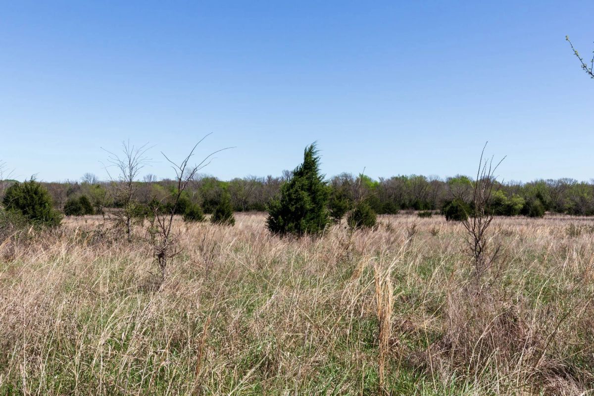 Prairie Grove Tract 25 - Image 4
