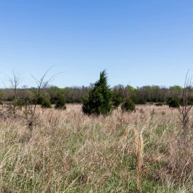 Prairie Grove Tract 25 in Okfuskee County, OK