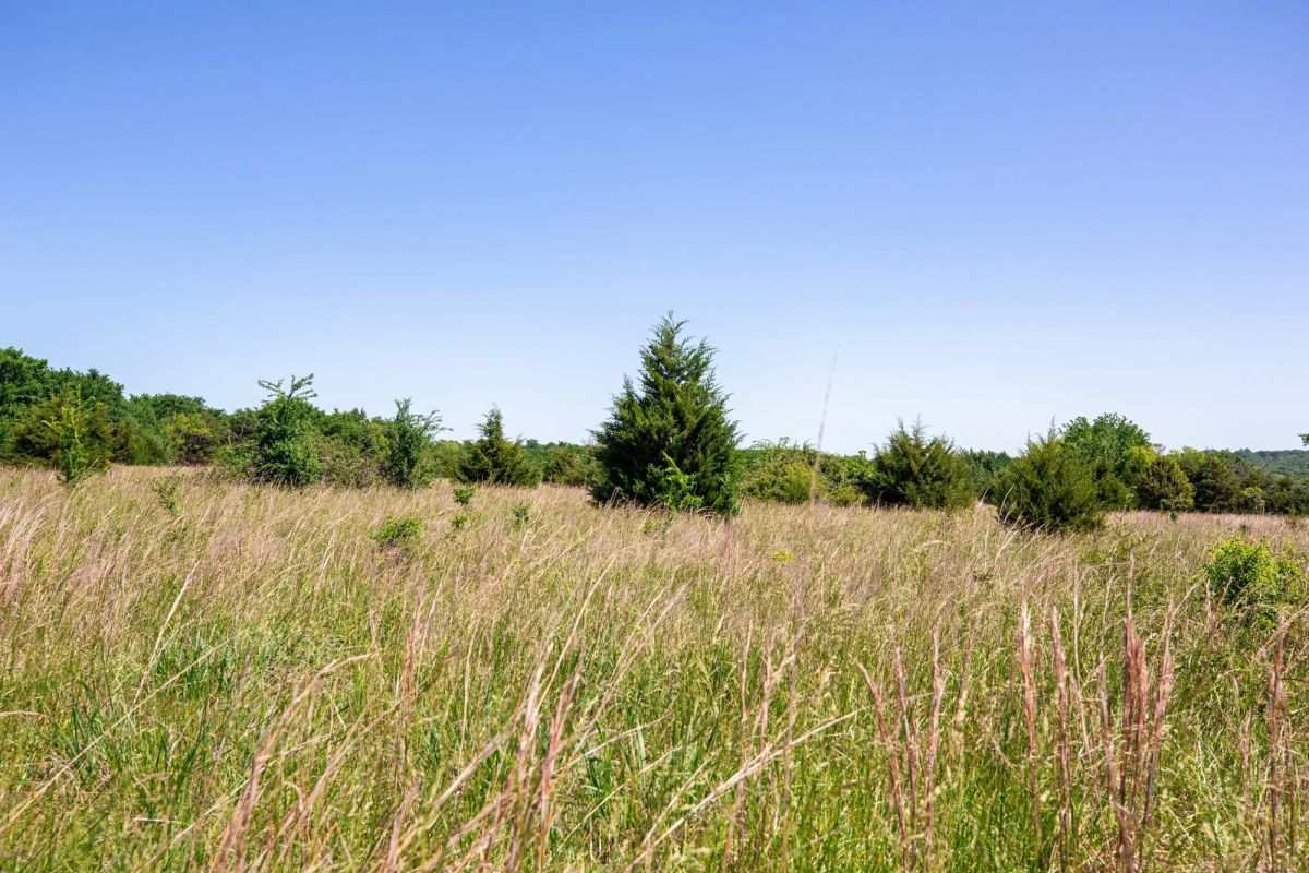 Decorative background for Prairie Grove Tract 25 image 5