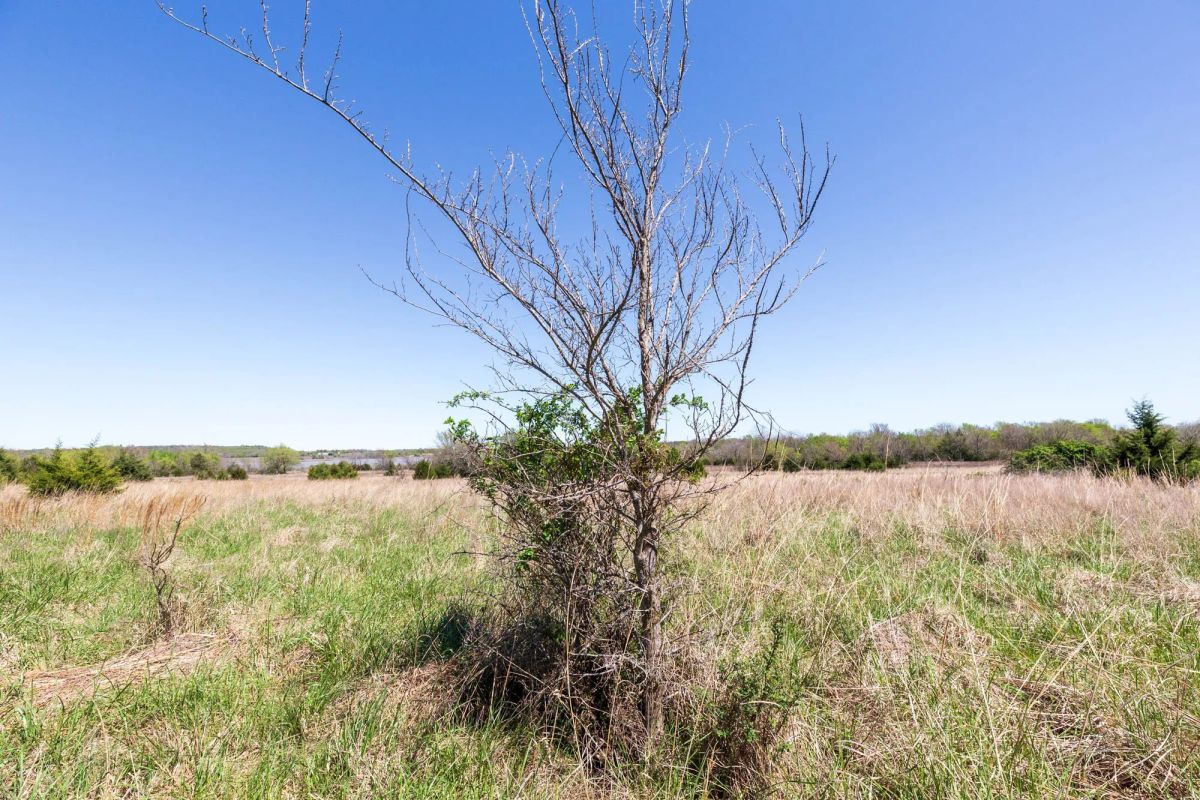 Decorative background for Prairie Grove Tract 25 image 6