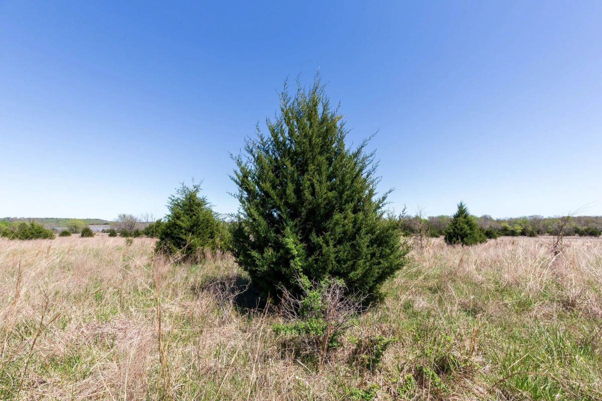 Decorative background for Prairie Grove Tract 25 image 7