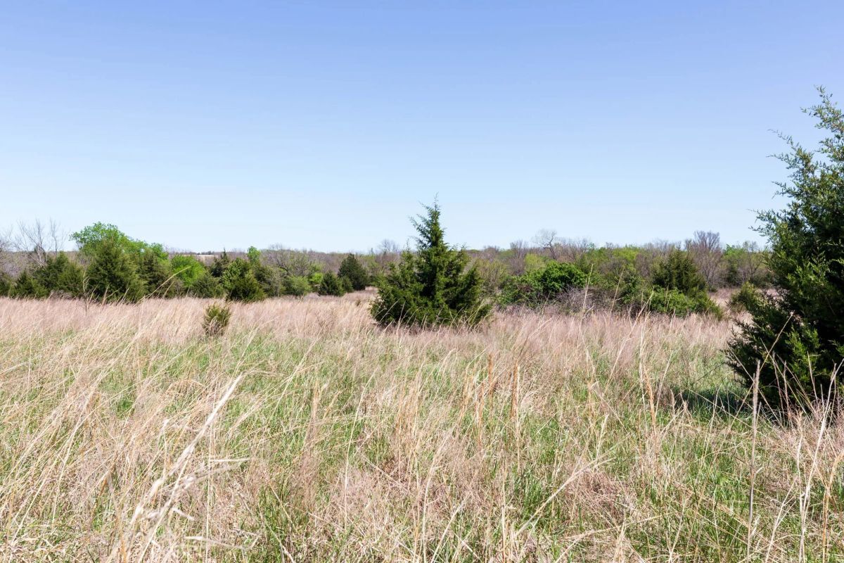 Decorative background for Prairie Grove Tract 25 image 9