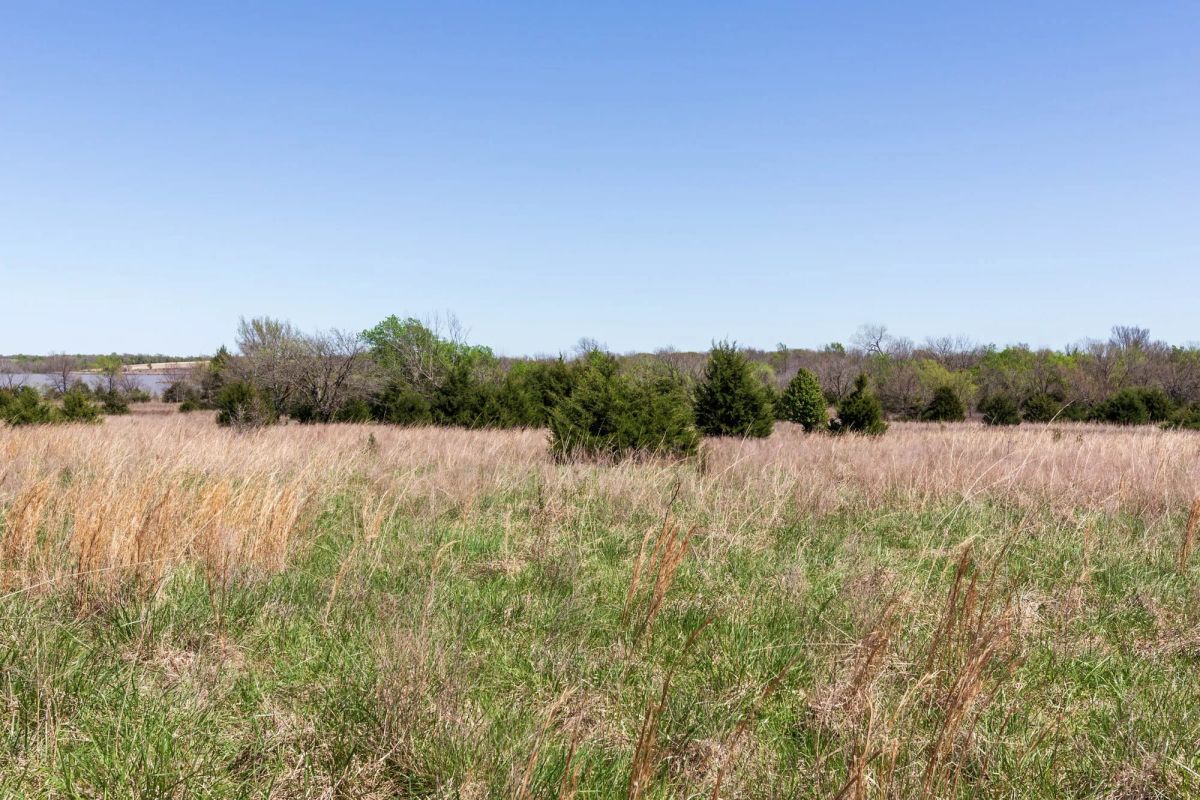 Decorative background for Prairie Grove Tract 25 image 11