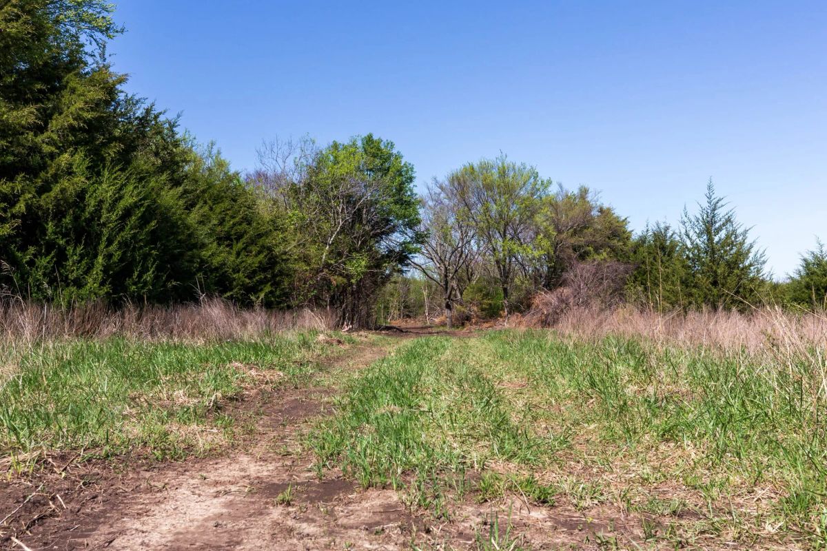 Decorative background for Prairie Grove Tract 25 image 12