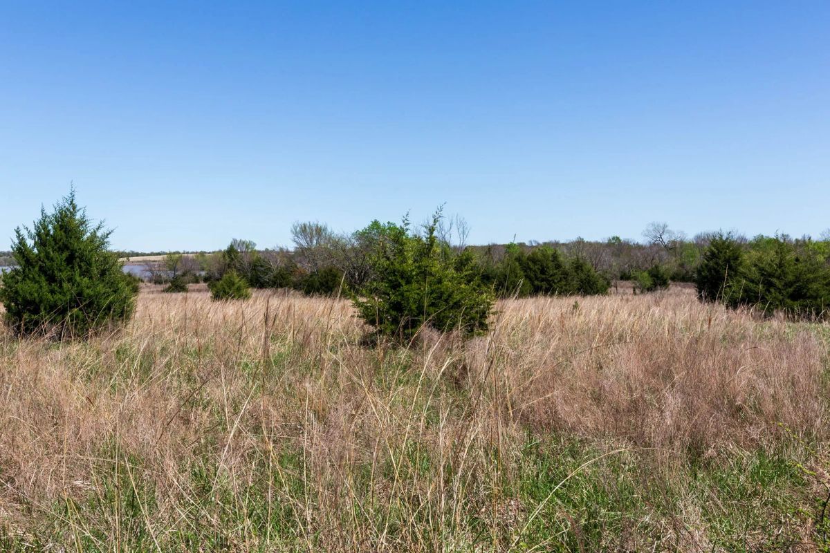 Decorative background for Prairie Grove Tract 25 image 15