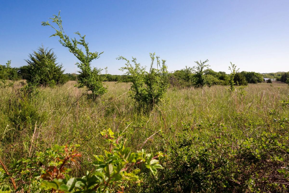 Decorative background for Prairie Grove Tract 25 image 16