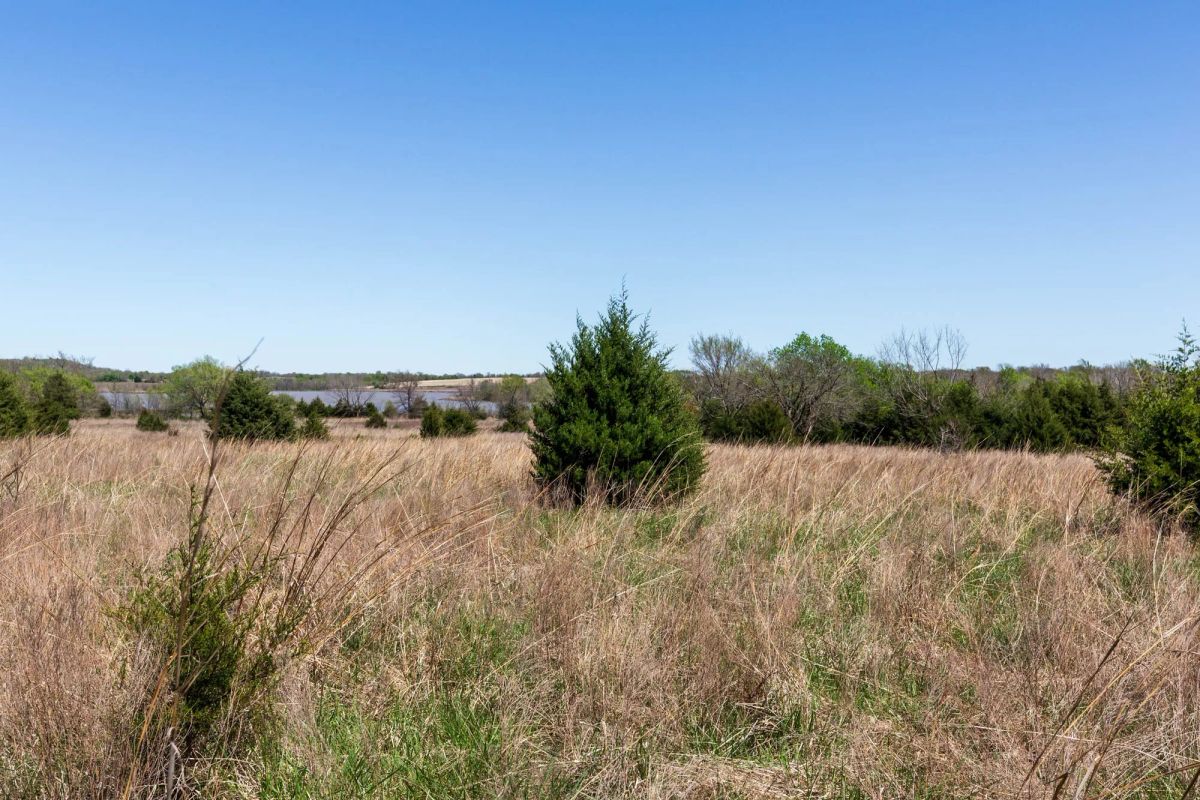 Decorative background for Prairie Grove Tract 25 image 17