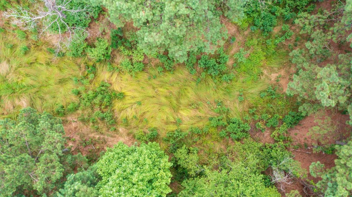 Whiskey Ridge Tract 56 - Main image