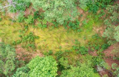 Whiskey Ridge Tract 56