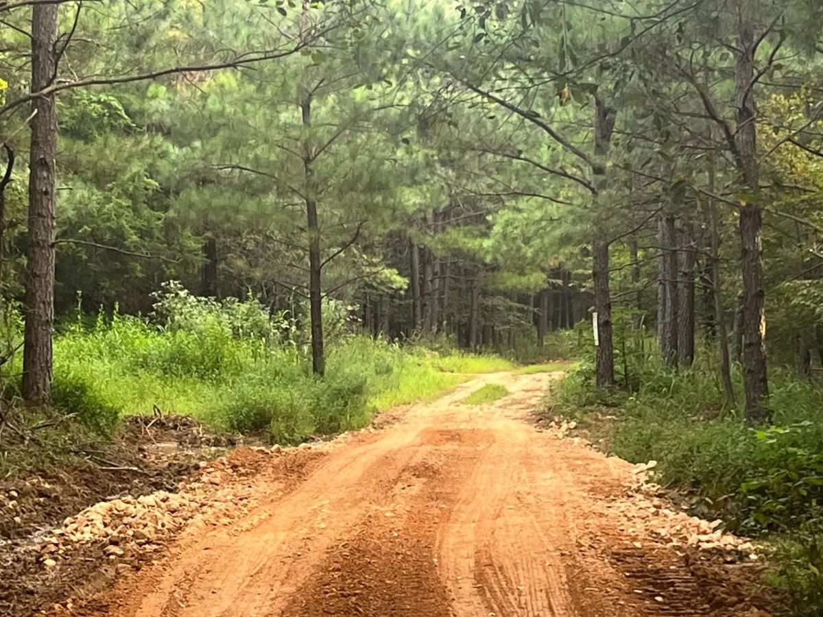 Whiskey Ridge Tract 56 - Image 2