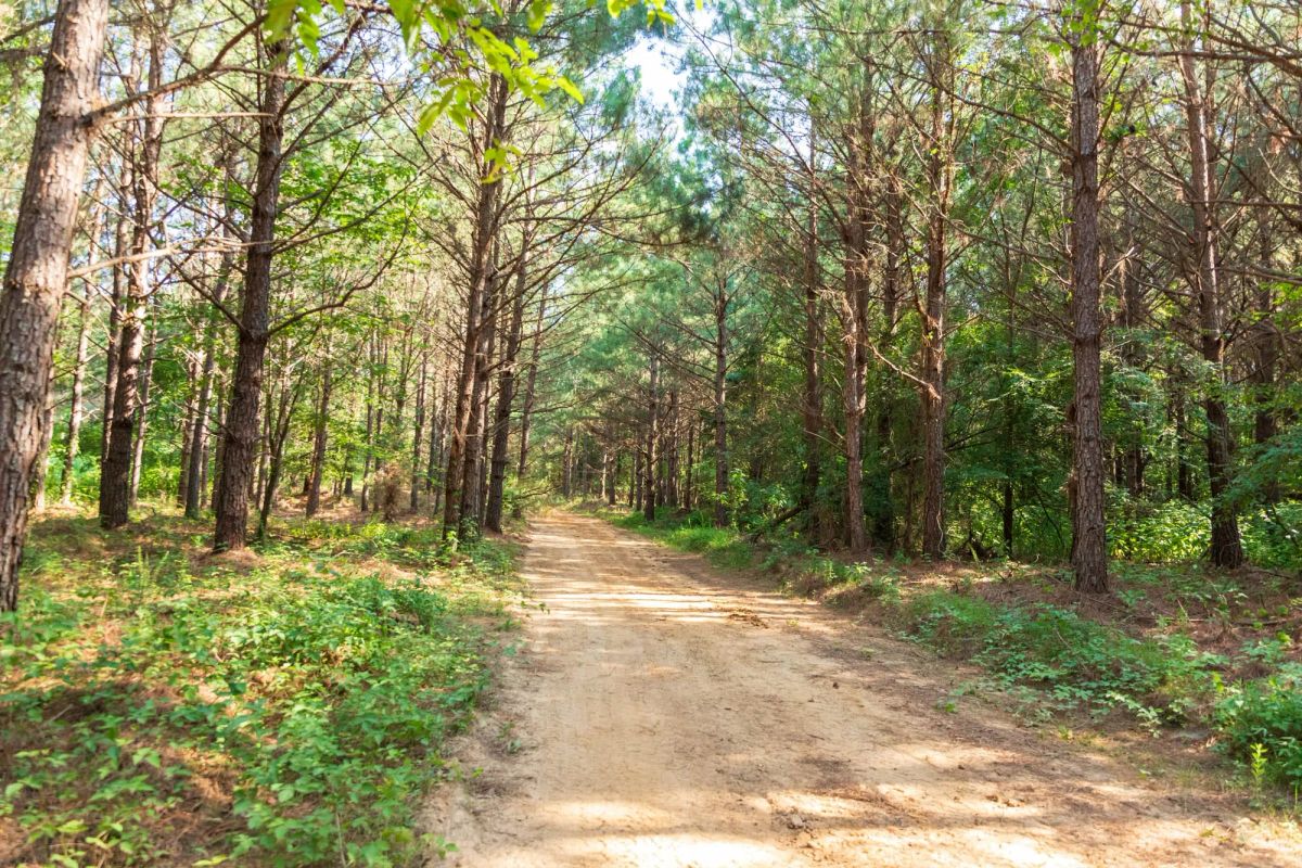 Whiskey Ridge Tract 56 - Image 3