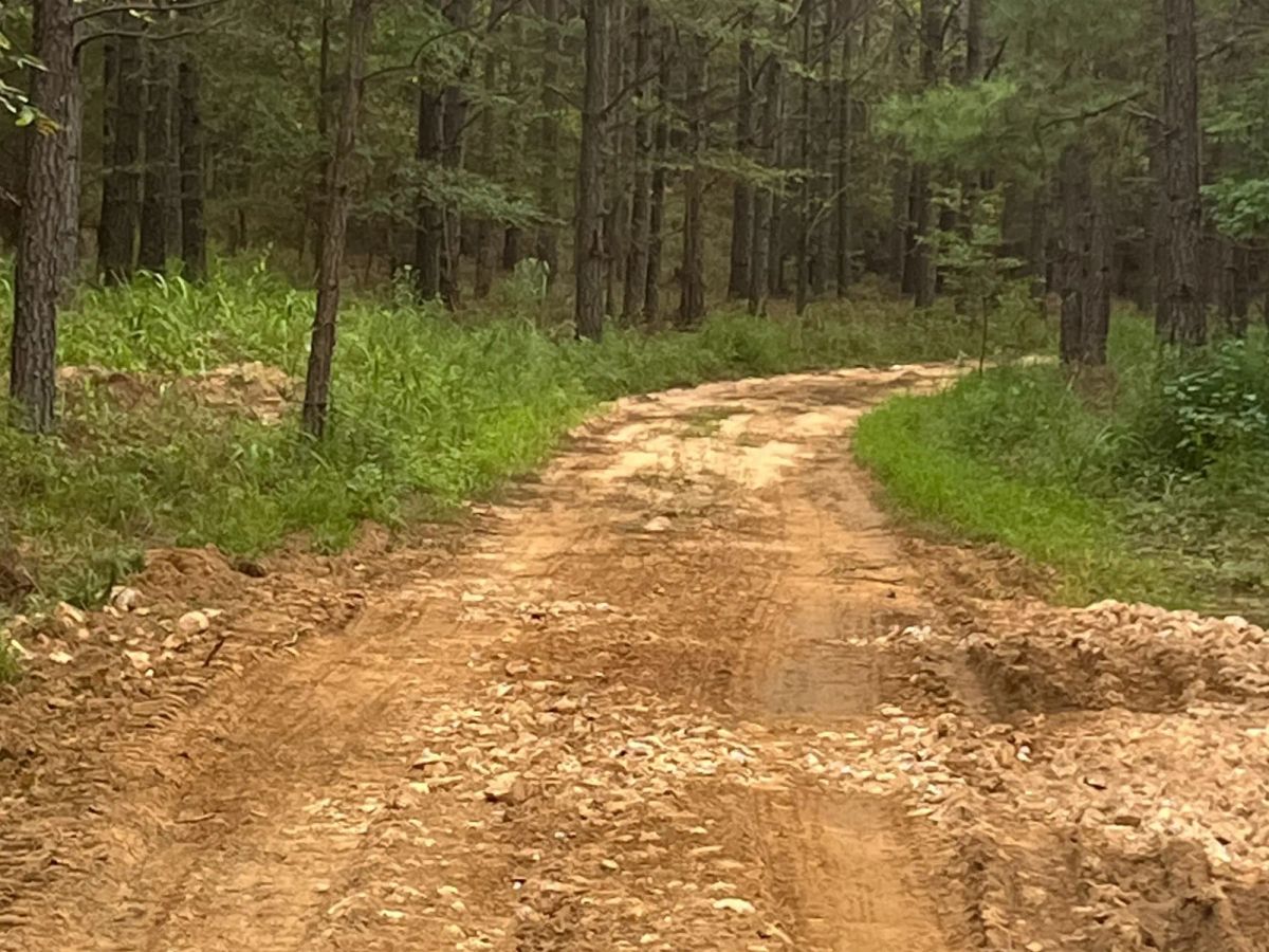 Decorative background for Whiskey Ridge Tract 56 image 7