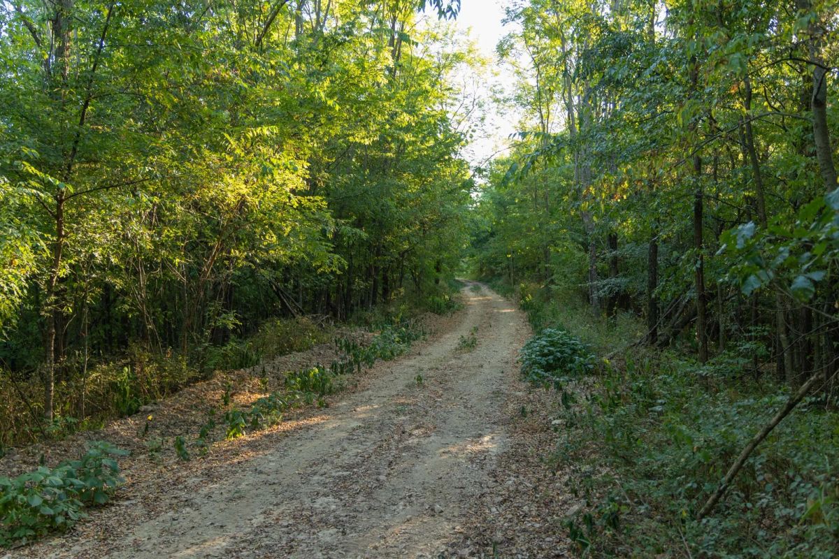 Big White Oak Tract 98 - Main image