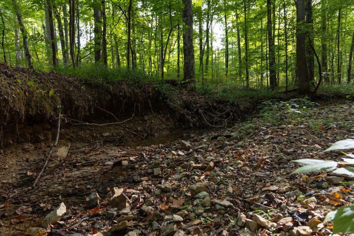 Big White Oak Tract 98 - Image 3