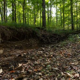 Big White Oak Tract 98 in Perry County, TN
