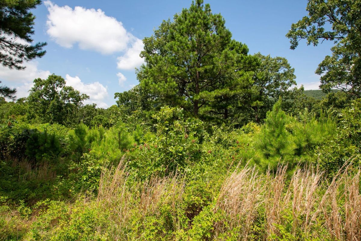 Tyler Stone Ranch Tract 28 - Main image