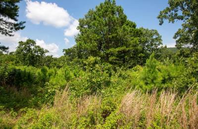 Tyler Stone Ranch Tract 28