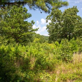Tyler Stone Ranch Tract 28 in Le Flore County, OK