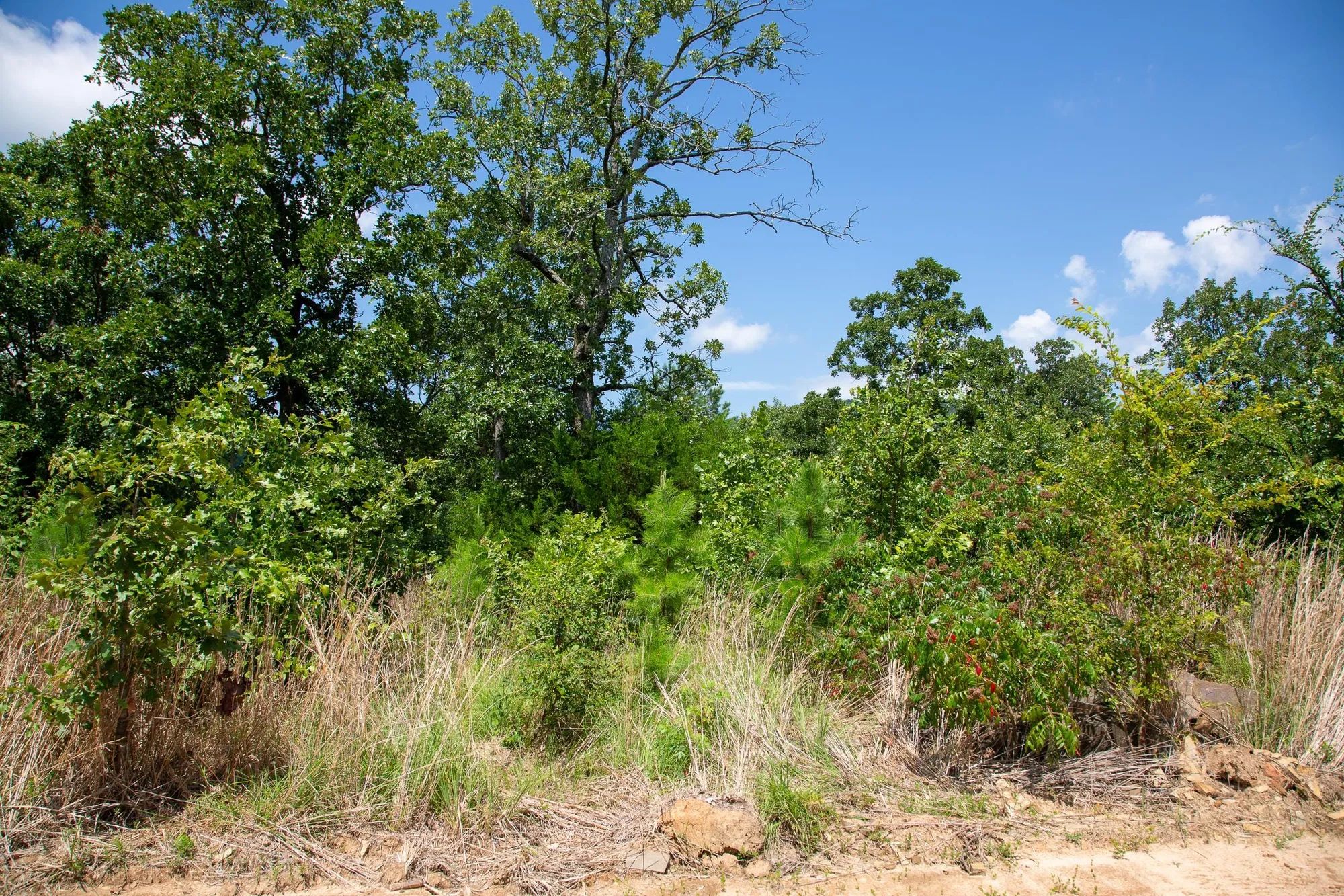 Tyler Stone Ranch Tract 28 in Le Flore County, OK