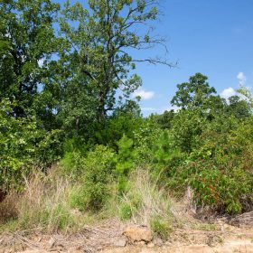 Tyler Stone Ranch Tract 28 in Le Flore County, OK