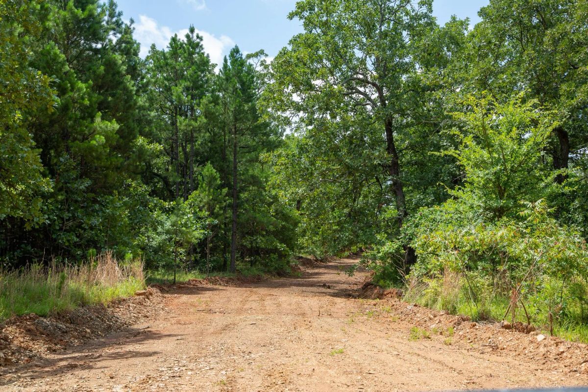Decorative background for Tyler Stone Ranch Tract 28 image 5
