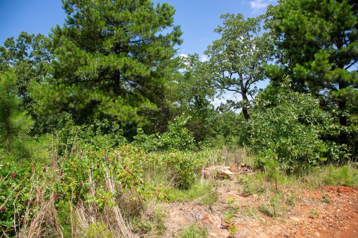 Decorative background for Tyler Stone Ranch Tract 28 image 6