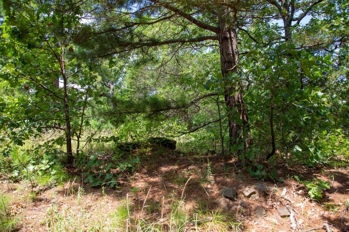 Decorative background for Tyler Stone Ranch Tract 28 image 7