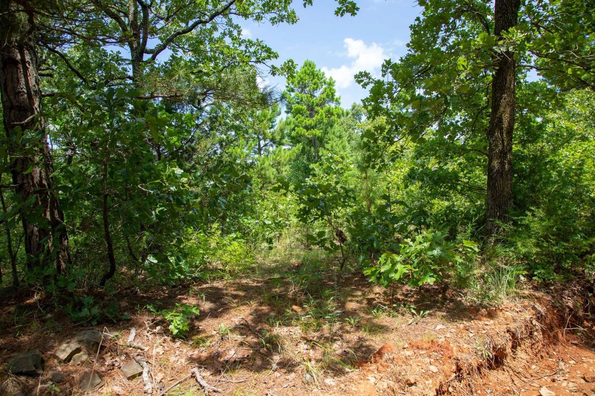 Decorative background for Tyler Stone Ranch Tract 28 image 8