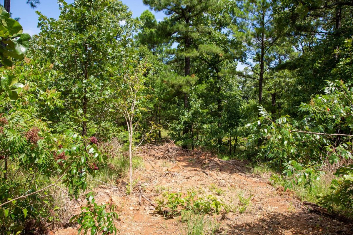 Decorative background for Tyler Stone Ranch Tract 28 image 9