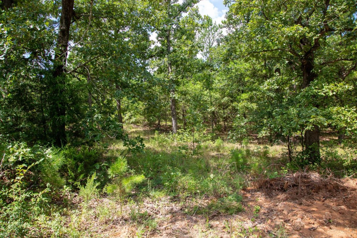 Decorative background for Tyler Stone Ranch Tract 28 image 11