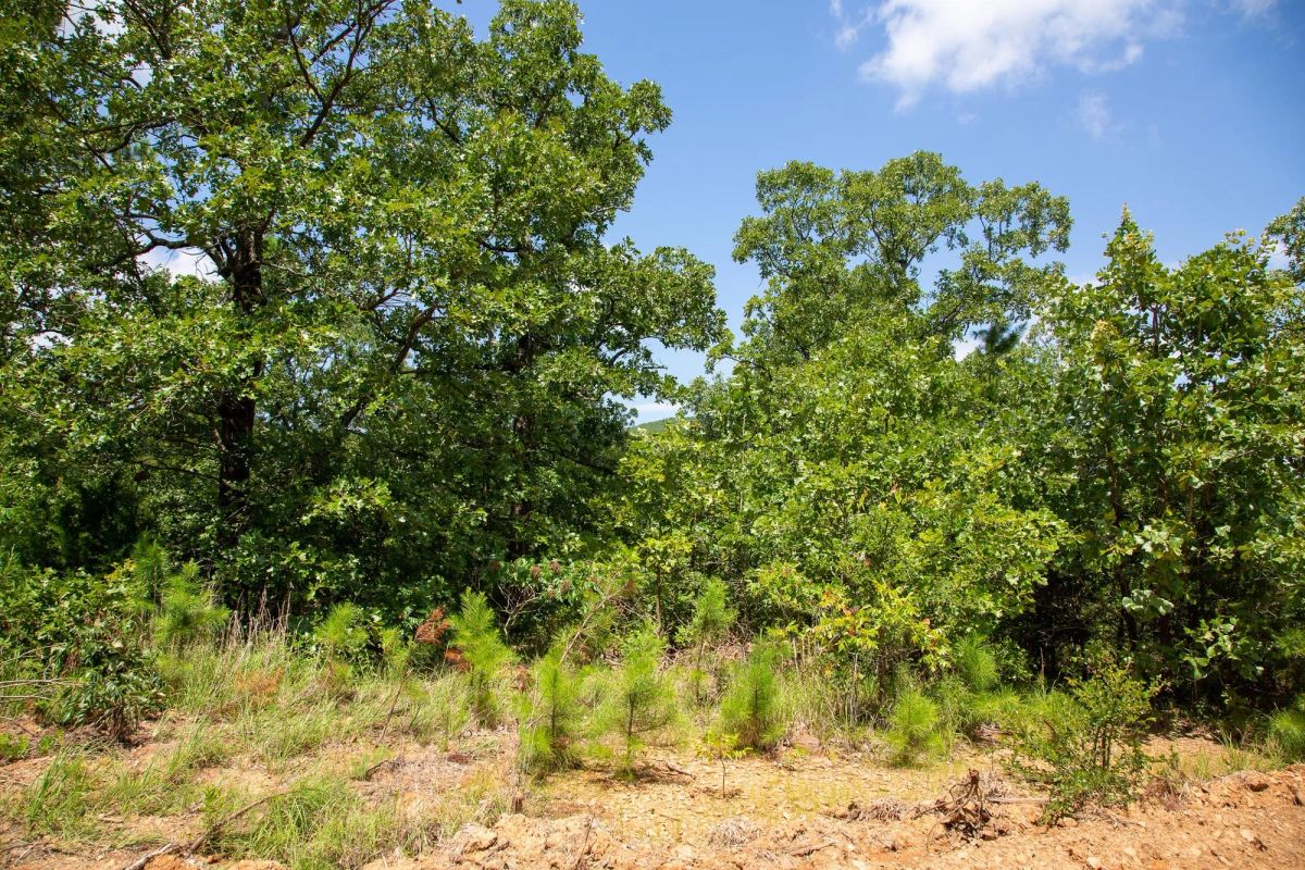 Decorative background for Tyler Stone Ranch Tract 28 image 13