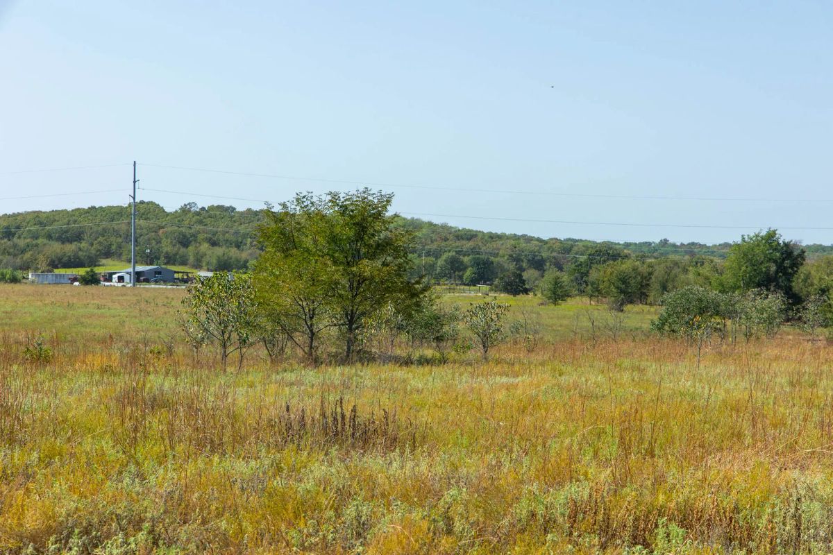 Gracyn Meadows Tract 8 - Image 3