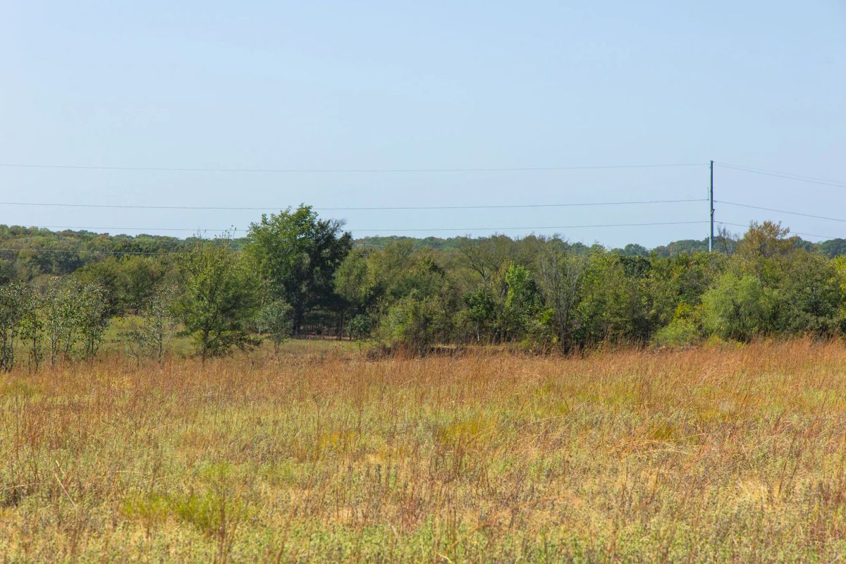 Gracyn Meadows Tract 8 - Image 4