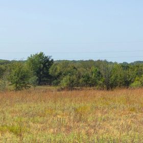 Gracyn Meadows Tract 8 in Okfuskee County, OK