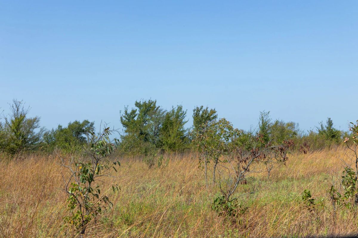 Decorative background for Gracyn Meadows Tract 8 image 6