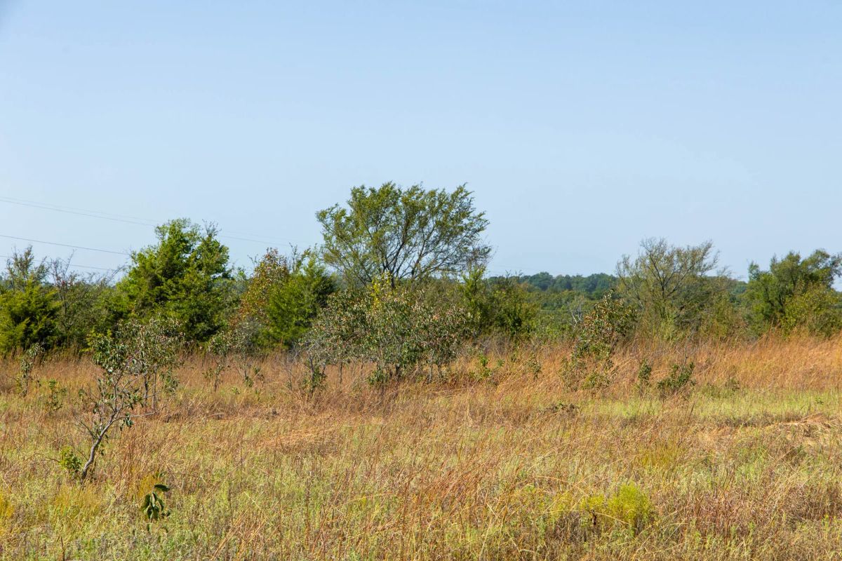 Decorative background for Gracyn Meadows Tract 8 image 7