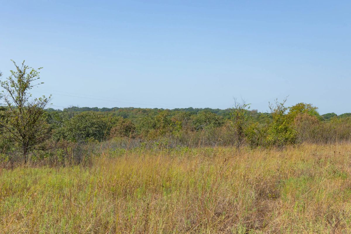 Decorative background for Gracyn Meadows Tract 8 image 8