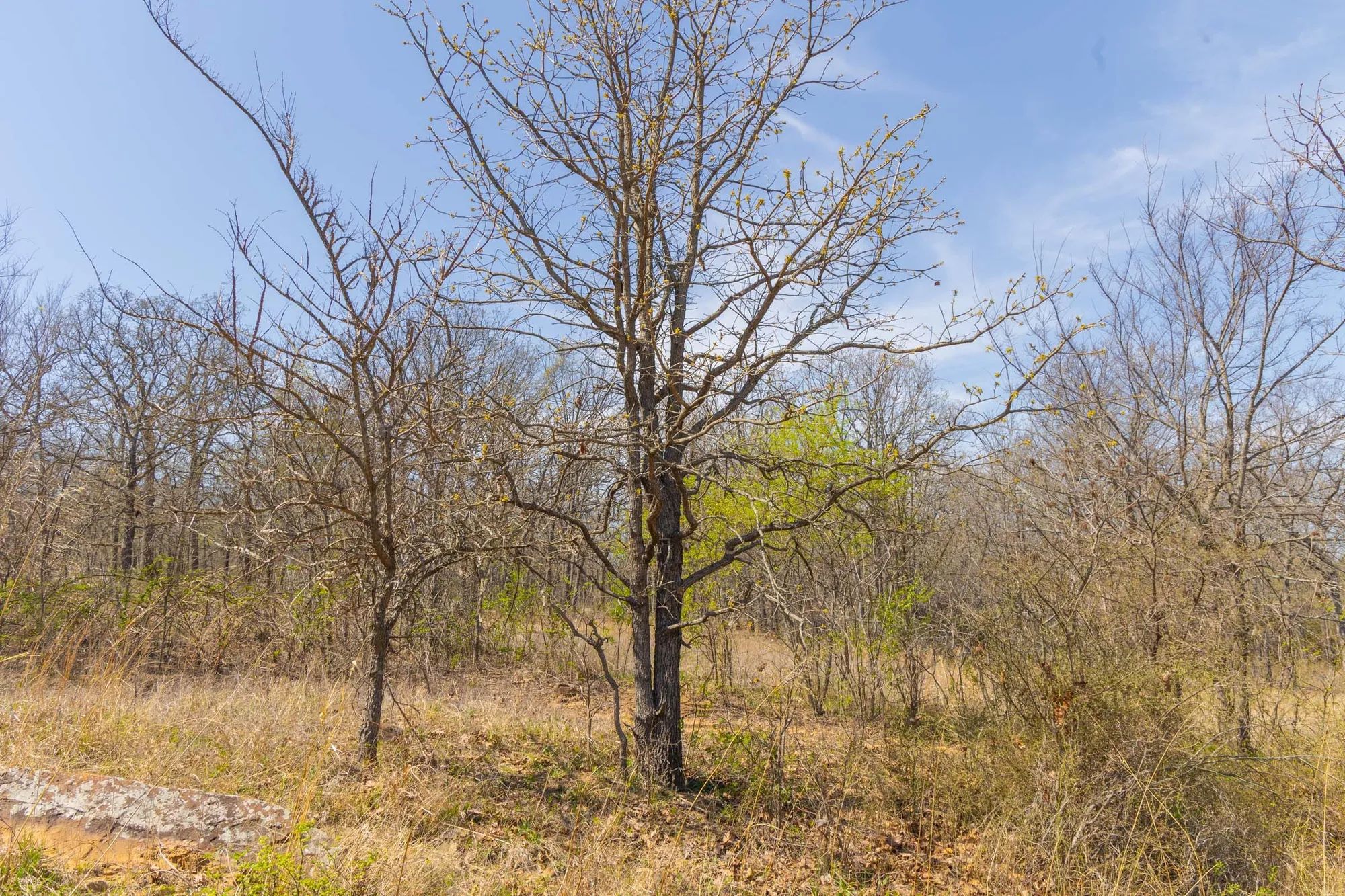 JLH Estates Tract 7 in Okfuskee County, OK
