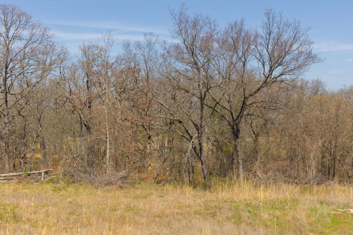 Decorative background for JLH Estates Tract 7 image 5