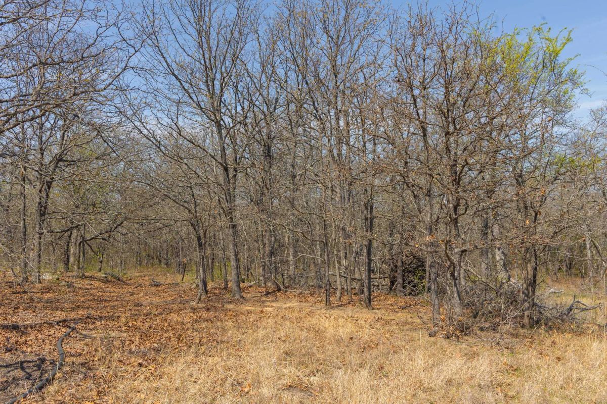 Decorative background for JLH Estates Tract 7 image 6