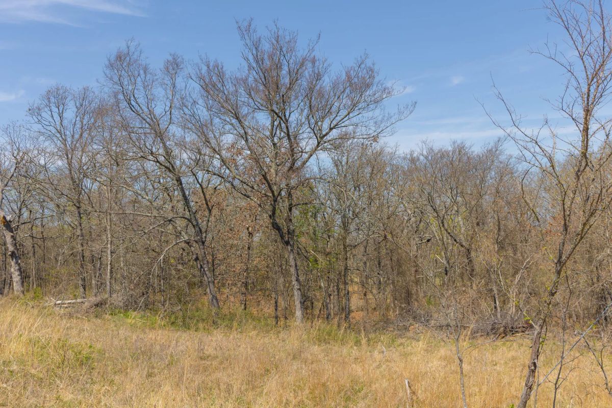Decorative background for JLH Estates Tract 7 image 8