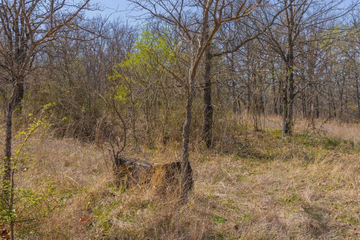 Decorative background for JLH Estates Tract 7 image 9