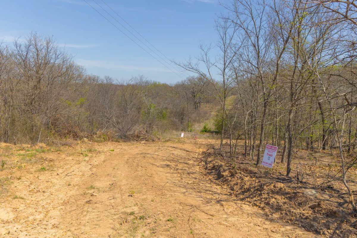 Decorative background for JLH Estates Tract 7 image 10