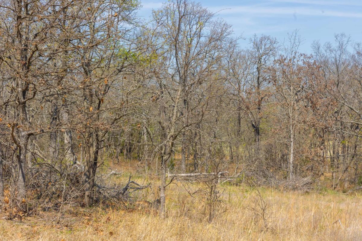 Decorative background for JLH Estates Tract 7 image 12