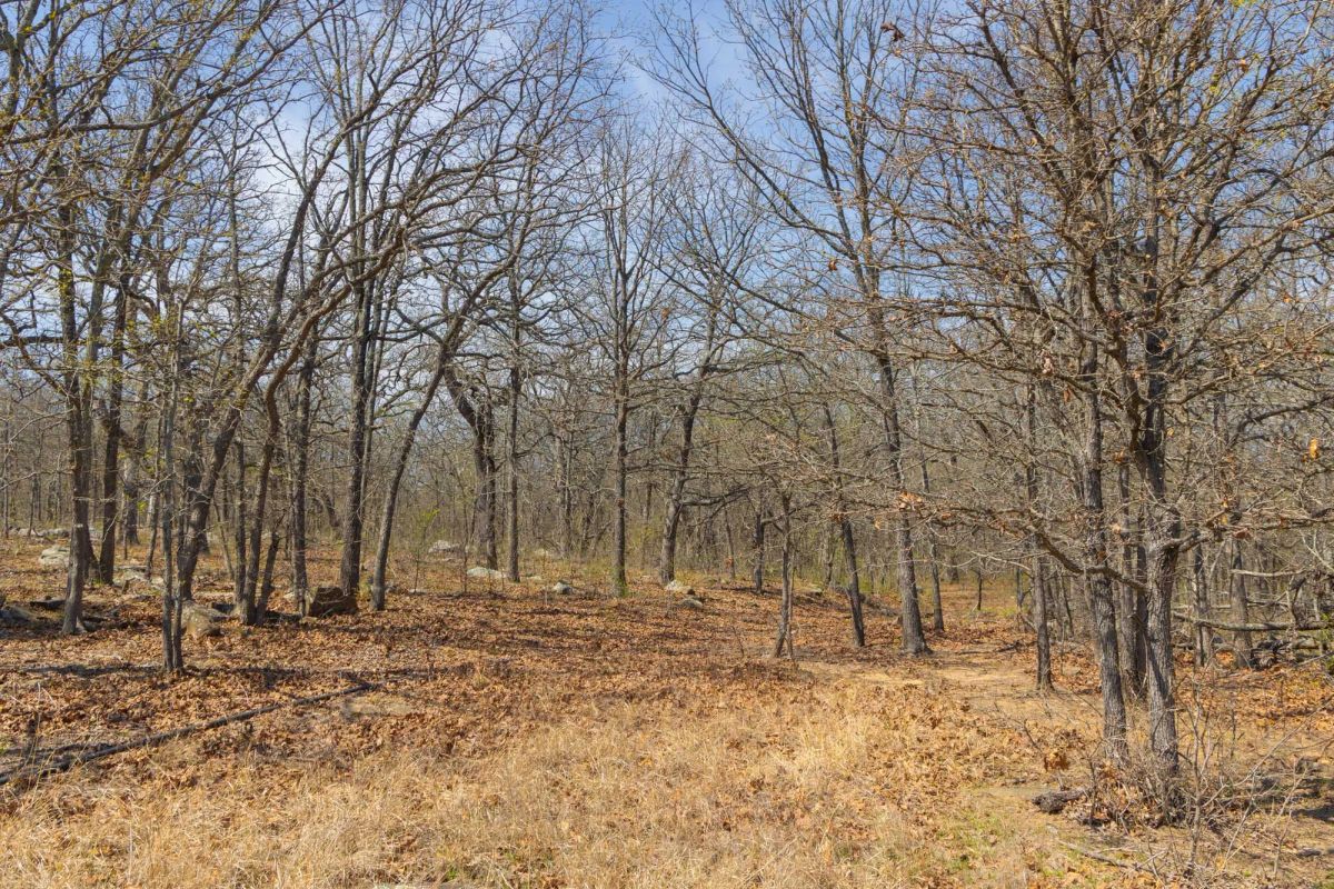Decorative background for JLH Estates Tract 7 image 15