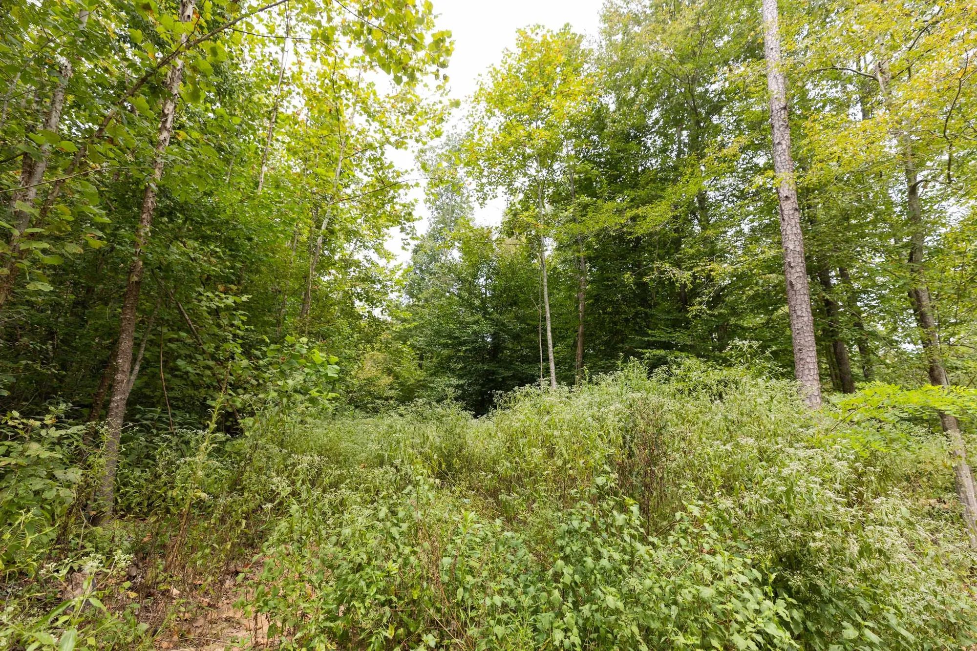 Big White Oak Tract 93 in Perry County, TN