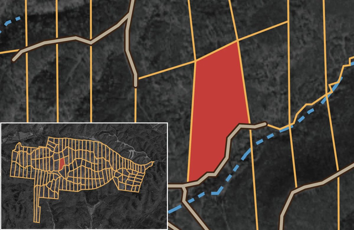 Decorative background for Big White Oak Tract 93 image 13