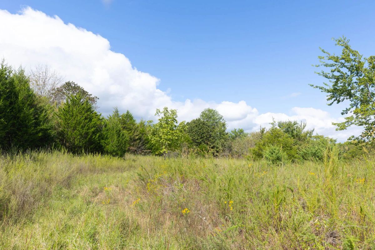 Decorative background for Reserves At Cattail Cove Phase II Tract 88 image 5
